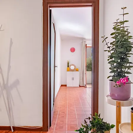 Landi 1 - 2 Camere, Parcheggio, Balconi, Vicino Al Centro Appartement Pise